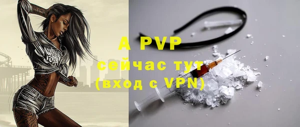 не бодяженный Осташков